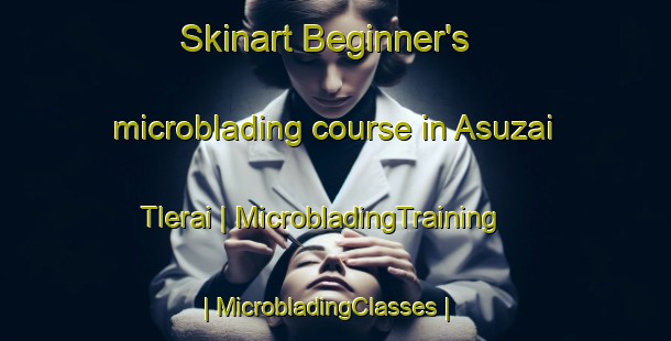 Skinart Beginner's microblading course in Asuzai Tlerai | MicrobladingTraining | MicrobladingClasses | SkinartTraining-Pakistan